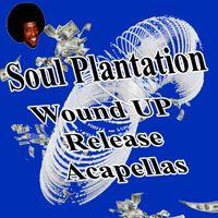 Soul Plantation - Wound Up Release (Acapella)