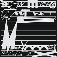 Róisín Murphy - What Not To Do (Moodymann Remix)