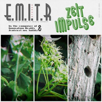 E.M.I.T.R - Zeitimpulse