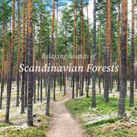 Nordic Wilderness - Relaxing Sounds of Scandinavian Forests