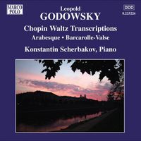 Konstantin Scherbakov - Godowsky, L.: Piano Music, Vol. 9