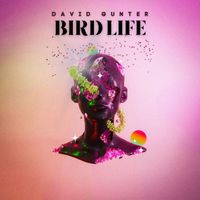 David Gunter - Bird Life