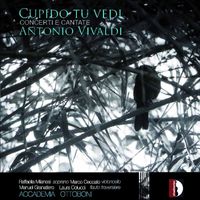 Accademia Ottoboni - Vivaldi: Cupido tu vedi