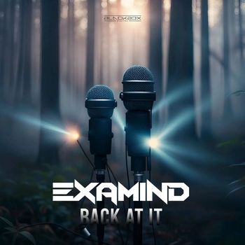 Examind - Back At It