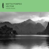 Mattia Pompeo - Vector