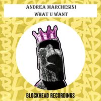 Andrea Marchesini - What U Want (Richard Earnshaw & Ridney Remix)