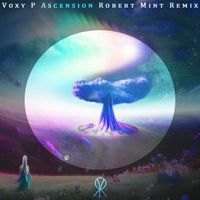 Voxy P - Ascension (Robert Mint Remix)