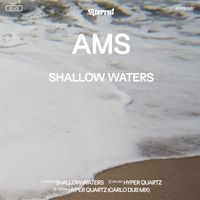 AMS - Shallow Waters