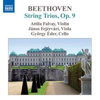 Attila Falvay - Beethoven: Complete String Trios, Vol. 2