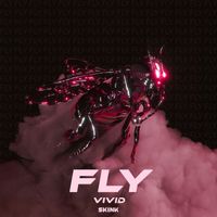 Vivid - Fly (Extended Mix)