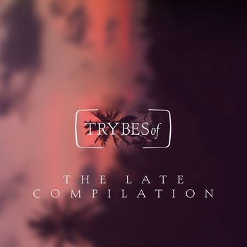 Various Artists - The Late Compilation