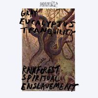 Rainforest Spiritual Enslavement - Gray Eucalyptus Tranquility