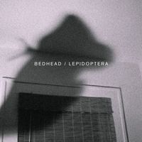 Bedhead - Lepidoptera