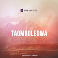 The Harps - Taomboledwa
