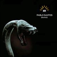 Pablo Santos - Snake