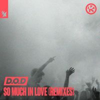 D.O.D - So Much in Love (Remixes)