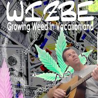 Wizbe - Growing Weed in Vacationland