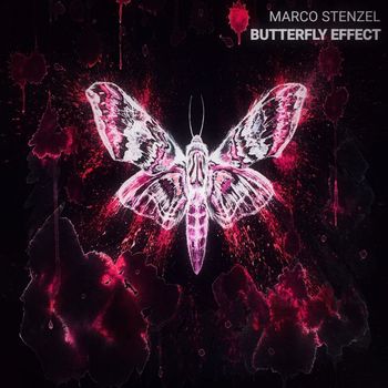 Marco Stenzel - Butterfly Effect