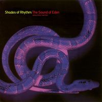 Shades of Rhythm - The Sound Of Eden (Every Time I See Her)