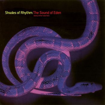 Shades of Rhythm - The Sound Of Eden (Every Time I See Her)
