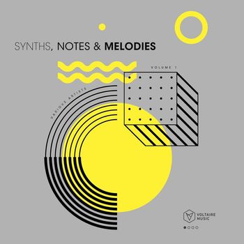 Various Artists - Synths, Notes & Melodies, Vol. 1