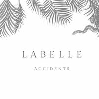 LaBelle - Accidents