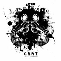 gnat - Раскол сознания