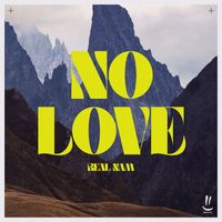 Real Nam - No Love