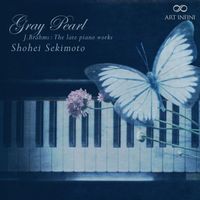 Shohei Sekimoto - Gray Pearl