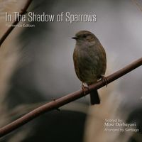 Mosi Dorbayani - In the Shadow of Sparrows (Flamenco Edition) [feat. Santiago]
