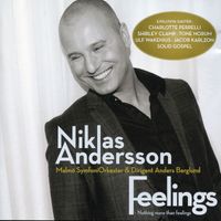 Niklas Andersson - Feelings