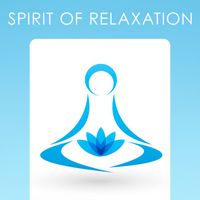 DJ Delirium - Spirit of Relaxation