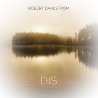Robert Dahlström - Dis