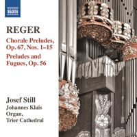 Josef Still - Reger: Organ Works, Vol. 14