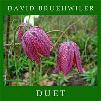 David Bruehwiler - Duet