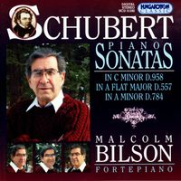 Malcolm Bilson - Schubert: Piano Sonatas, Vol. 7:  Nos. 5, 14 and 19