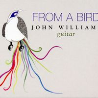 John Christopher Williams - From a Bird