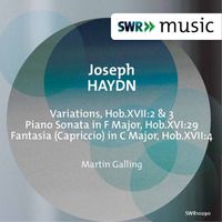 Martin Galling - Haydn: Piano Music