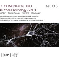 Detlef Heusinger and Ensemble Experimental - Experimentalstudio: 40 Years Anthology, Vol. 2