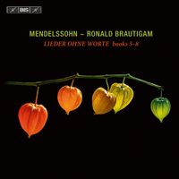 Ronald Brautigam - Mendelssohn: Lieder ohne Worte, Books 5-8
