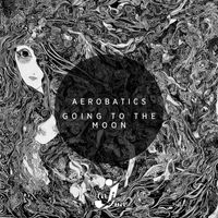 Aerobatics - Going To The Moon
