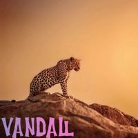 Vandall - Leoparden efter zebra (Explicit)