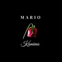 Mario - Kamimo
