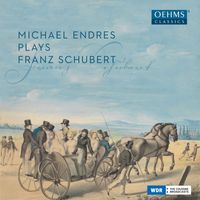 Michael Endres - Schubert: Piano Works