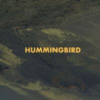 Schlindwein - Hummingbird