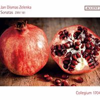 Collegium 1704 - Zelenka: 6 Sonatas, ZWV 181