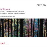 Grauschumacher Piano Duo - Fantasias