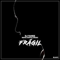 DJ Yanks - Frágil