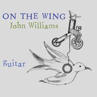 John Christopher Williams - On the Wing