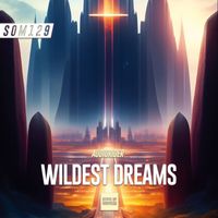 Audiorider - Wildest Dreams (Original Mix)